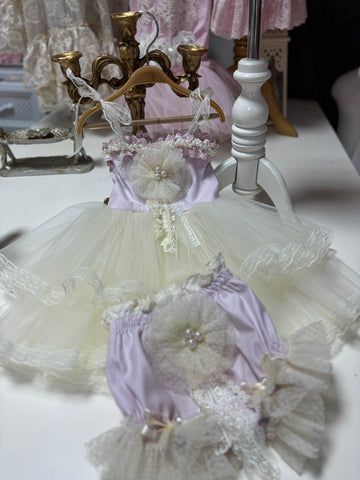 Lilac Soft Tulle Blouse And Shorts Two Pieces